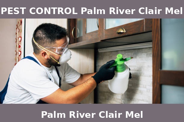 PEST CONTROL Palm River Clair Mel